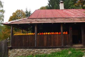 Fotografia z galérie ubytovania Chalupa Na Košáře v destinácii Valašská Senice