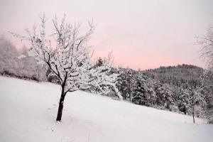 Fotografia z galérie ubytovania Chalupa Na Košáře v destinácii Valašská Senice