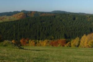 Fotografia z galérie ubytovania Chalupa Na Košáře v destinácii Valašská Senice