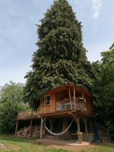 uma casa na árvore com uma varanda em frente a uma árvore em Baumhaus Freiburg em Friburgo em Brisgóvia