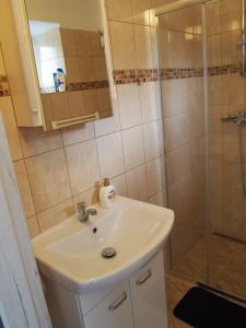 Koupelna v ubytování Apartmán GUTINO