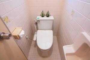 沖縄市にあるNew open American Village Sunset beach TLA&TDYのバスルーム(2つの植物があるトイレ付) +37枚の写真