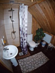 a bathroom with a sink and a toilet and a shower at Pühajõe Holiday Park in Pühajõe