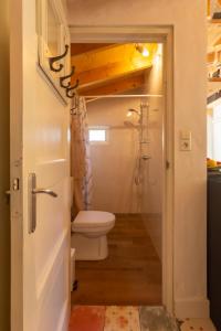 een kleine badkamer met een toilet en een wastafel bij Stella Maris in Oudeschild