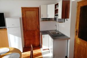 a small kitchen with a sink and a refrigerator at ZRM center in Idrija