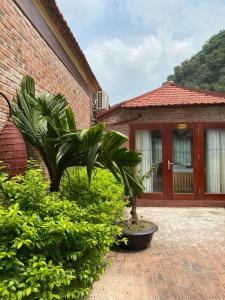 une maison avec une cour ornée de plantes et un bâtiment dans l'établissement Chez Loan Hotel, à Ninh Binh