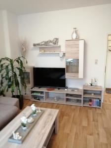 een woonkamer met een grote flatscreen-tv bij USIS_FERIENWOHNUNG im Harz in Quedlinburg
