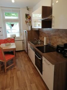 een keuken met een spoelbak en een fornuis bovenste oven bij USIS_FERIENWOHNUNG im Harz in Quedlinburg