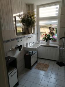 een badkamer met een wastafel en een raam en planten bij USIS_FERIENWOHNUNG im Harz in Quedlinburg