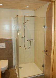 a shower with a glass door in a bathroom at Gasthof Gruber in Fridolfing