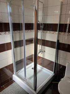 a shower stall in a bathroom with a toilet at Vila Ando Mamaia Nord in Mamaia Nord