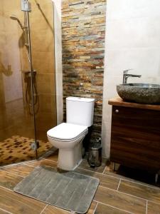 a bathroom with a toilet and a sink at Villa Ventus in Liepāja +12 photos
