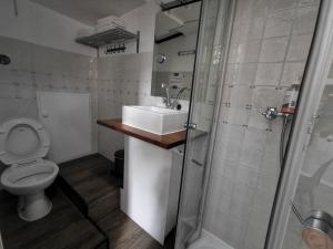 ein Bad mit einem Waschbecken, einem WC und einer Dusche in der Unterkunft Waterloo square river vieuw houseboat in Amsterdam