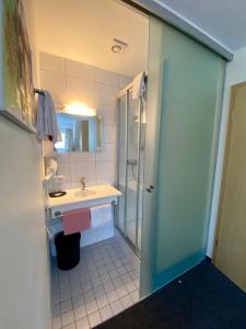 ein Bad mit einem Waschbecken und einer Dusche in der Unterkunft Schwarzwaldgasthaus Linde in Tennenbronn
