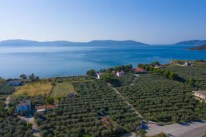 Φωτογραφία από το άλμπουμ του Makis Inn Resort στη Θερμησία