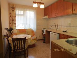 A kitchen or kitchenette at Family Hotel Lebed