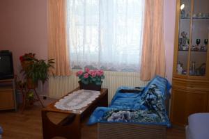 Posezení v ubytování Ubytování U Součků Jindřichův Hradec