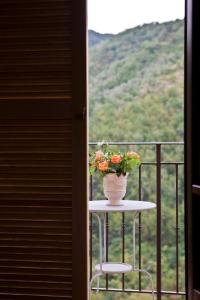 Balkon ili terasa u objektu Apricus Locanda Boutique Hotel