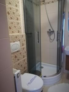 a bathroom with a shower and a toilet and a sink at Hotel pod Muzami in Kamień Pomorski