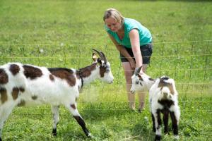 Altri animali domestici presso l'affittacamere o nei dintorni