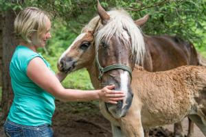 Altri animali domestici presso l'affittacamere o nei dintorni