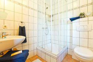 een badkamer met een douche, een toilet en een wastafel bij Ferienhof Ebsen in Langenhorn