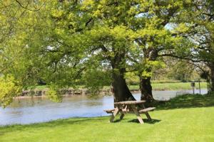 a wooden bench sitting under a tree next to a river at Camping des 2 Rives- Chambres in Étang-sur-Arroux