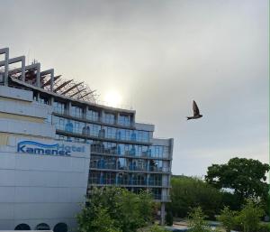 a bird flying in front of a building at Hotel Kamenec in Kiten