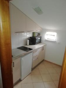 Kuchyň nebo kuchyňský kout v ubytování Apartman MIG
