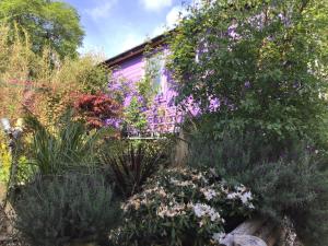 a garden with flowers in front of a purple building at No.9 in Inverness