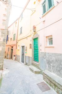 a street in an old town with a green door at Cà du Nilo in Manarola