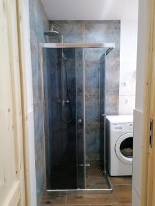 a shower with a glass door next to a washing machine at Leśniczówka Kalina in Wetlina