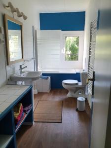 un bagno con un water e un lavandino di Domaine De Marlas - Gîte de Charme a Rieucros Altre 33 foto