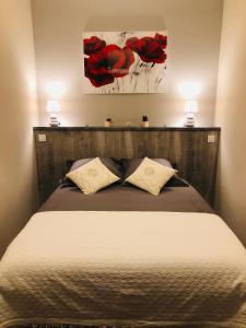 1 dormitorio con 1 cama grande y 2 almohadas en Les volets rouges en Cavaillon