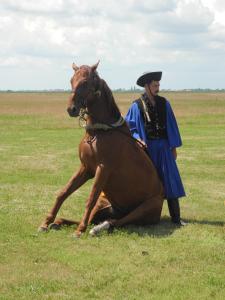 Khách lưu trú tại Melody Huis