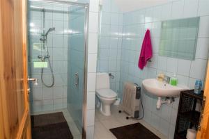 ein Bad mit einer Dusche, einem WC und einem Waschbecken in der Unterkunft Przystań nad Parsętą in Wrzosowo