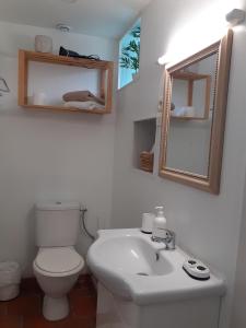 a bathroom with a toilet and a sink and a mirror at Le Petit Brétigny in Beaumont