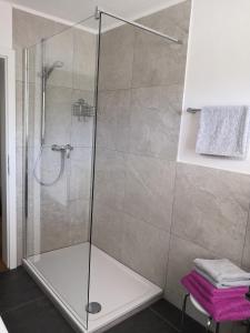 baño con cabina de ducha con puerta de cristal en Gästehaus Kayetan, en Klais