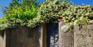 a fence with a gate with flowers on it at La Primavera in Anacapri