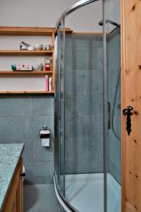 um chuveiro com uma porta de vidro na casa de banho em Chesa Pradatsch Sur - Celerina em Celerina