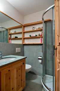 a bathroom with a shower and a toilet and a sink at Chesa Pradatsch Sur - Celerina in Celerina