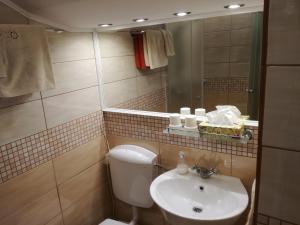 a bathroom with a sink and a toilet and a mirror at Virág Apartmanház in Sopron