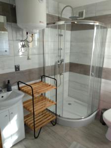 a bathroom with a shower and a toilet and a sink at Domki Orla na Mazurach in Pasym +54 photos