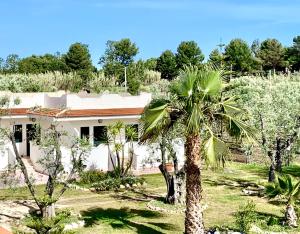Сад в Villa Angela case vacanza