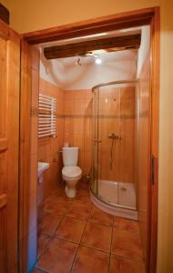 W łazience znajduje się toaleta i przeszklony prysznic. w obiekcie Cicha Woda w mieście Pieszyce