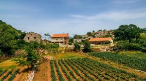 una granja con una casa y un campo de cultivos en Apartments EcoNature, en Virpazar