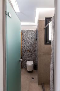 a bathroom with a toilet and a shower at LevandaMykonos in Mýkonos City