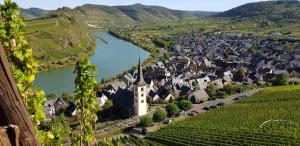 Vue panoramique sur l'établissement Ferienhaus Calmont