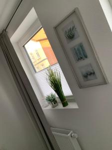 ein Treppenhaus mit einem Fenster mit Pflanzen auf einem Regal in der Unterkunft W2 Kontaktloser 24h CHECK IN, kostenloses W-Lan, Küche, Parkplatz in Bückeburg