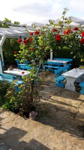 Bazén v ubytování Hotel Bon Relax nebo v jeho okolí